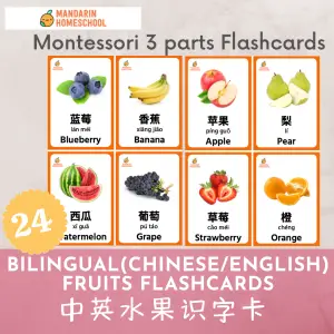 montessori bilingual flashcard