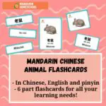 Simplified Chinese English Flashcards animal