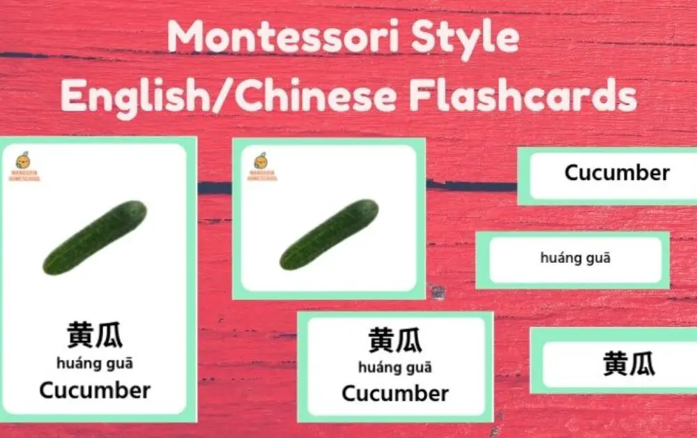 Best bilingual Montessori flashcards