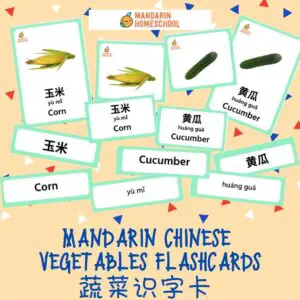 chinese english vegetables flashcards