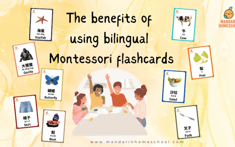 The Benefits of Using Bilingual Flashcards for Language Immersion