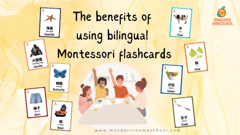 The Benefits of Using Bilingual Flashcards for Language Immersion