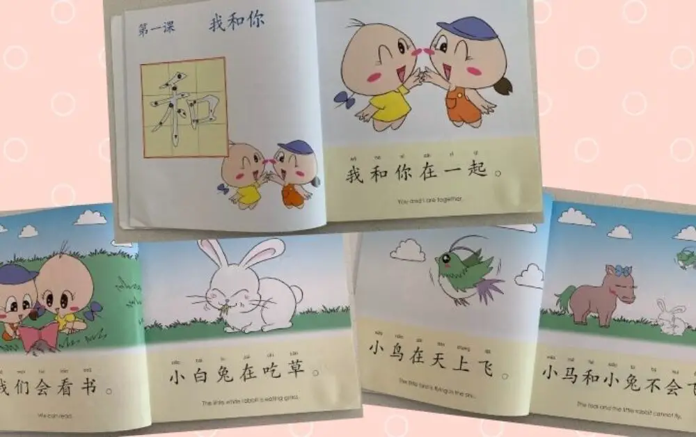 Sage Book Basic Chinese 500 Readers. Are they worth your money?