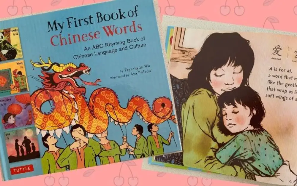 Chinese Book Recommendation: My First Book of Chinese words