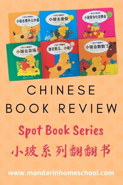 chinese book review spot books