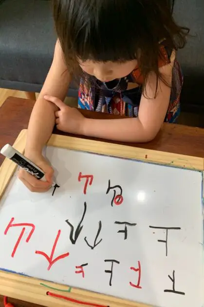 teach children chinese writing wipe clean