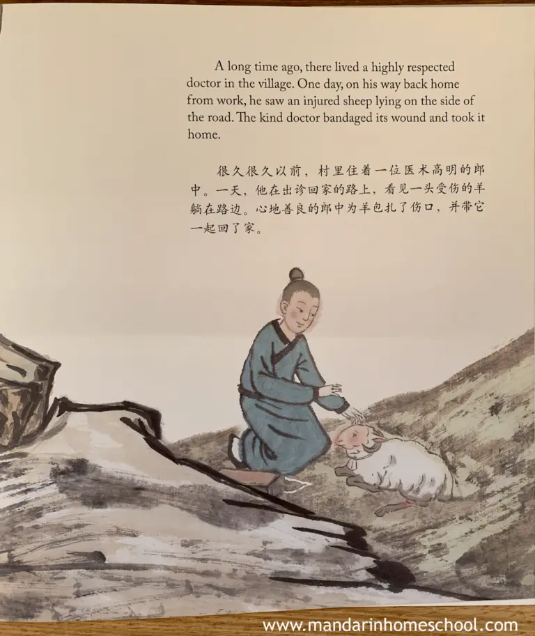 Chinese Culture Book