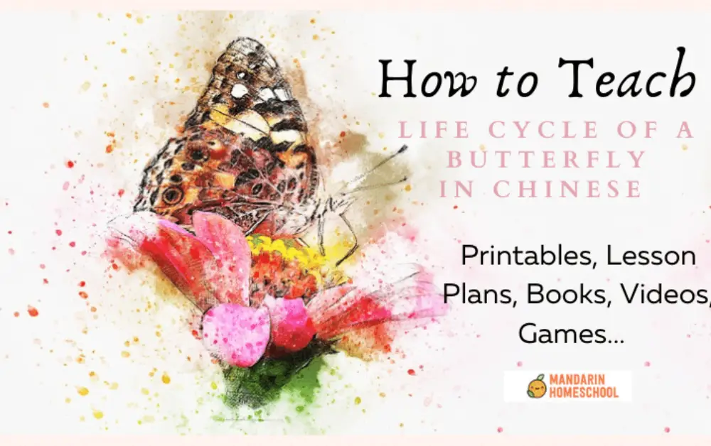 Want to know how to teach about the Life Cycle of the Butterfly in Chinese?