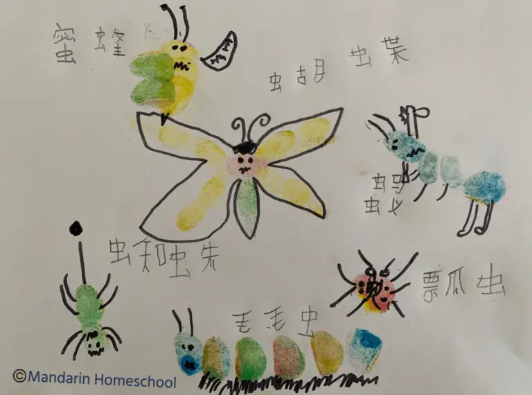 life cycle of butterfly chinese
