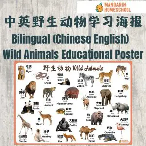 animal poster