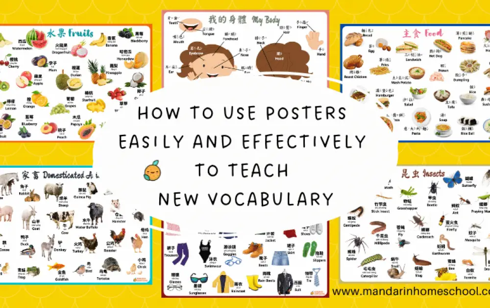 How to easily and effectively use posters to teach new vocabulary