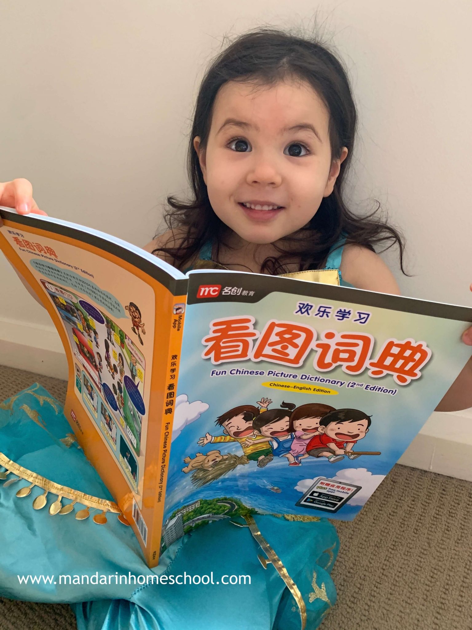 7 Of The Best Mandarin Chinese English Bilingual Picture Dictionary ...